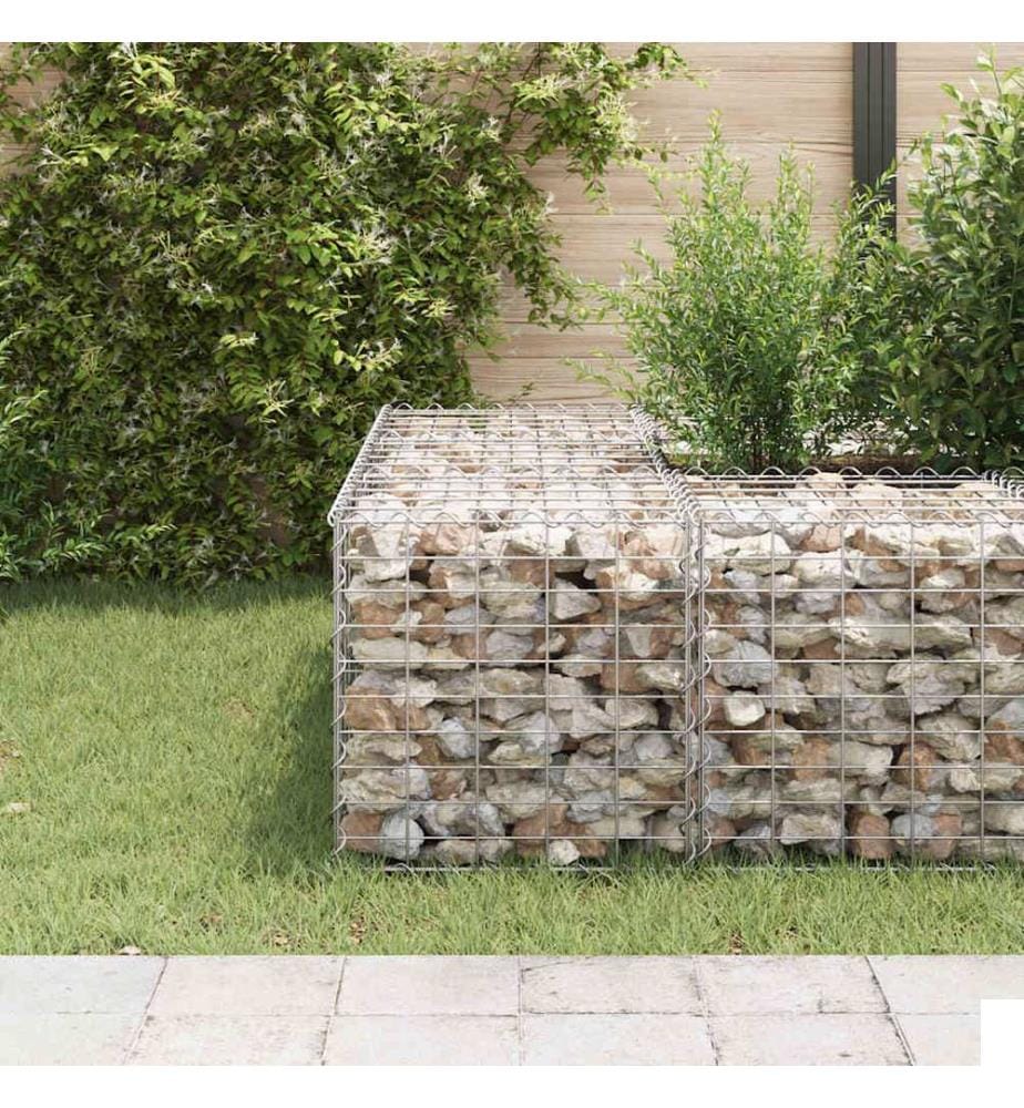 Lit surélevé cube à gabion Fil d'acier 50x50x50 cm