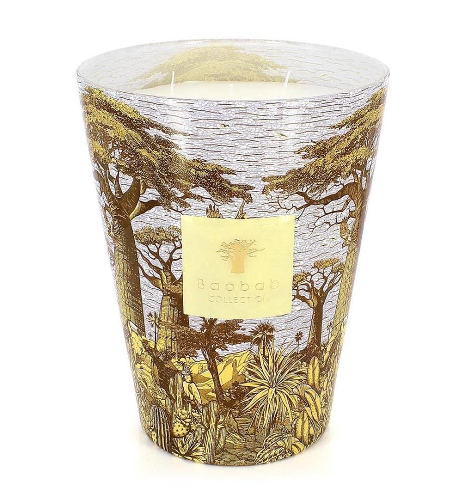 Bougie Parfumée Sacred Trees Cocody -Max 24