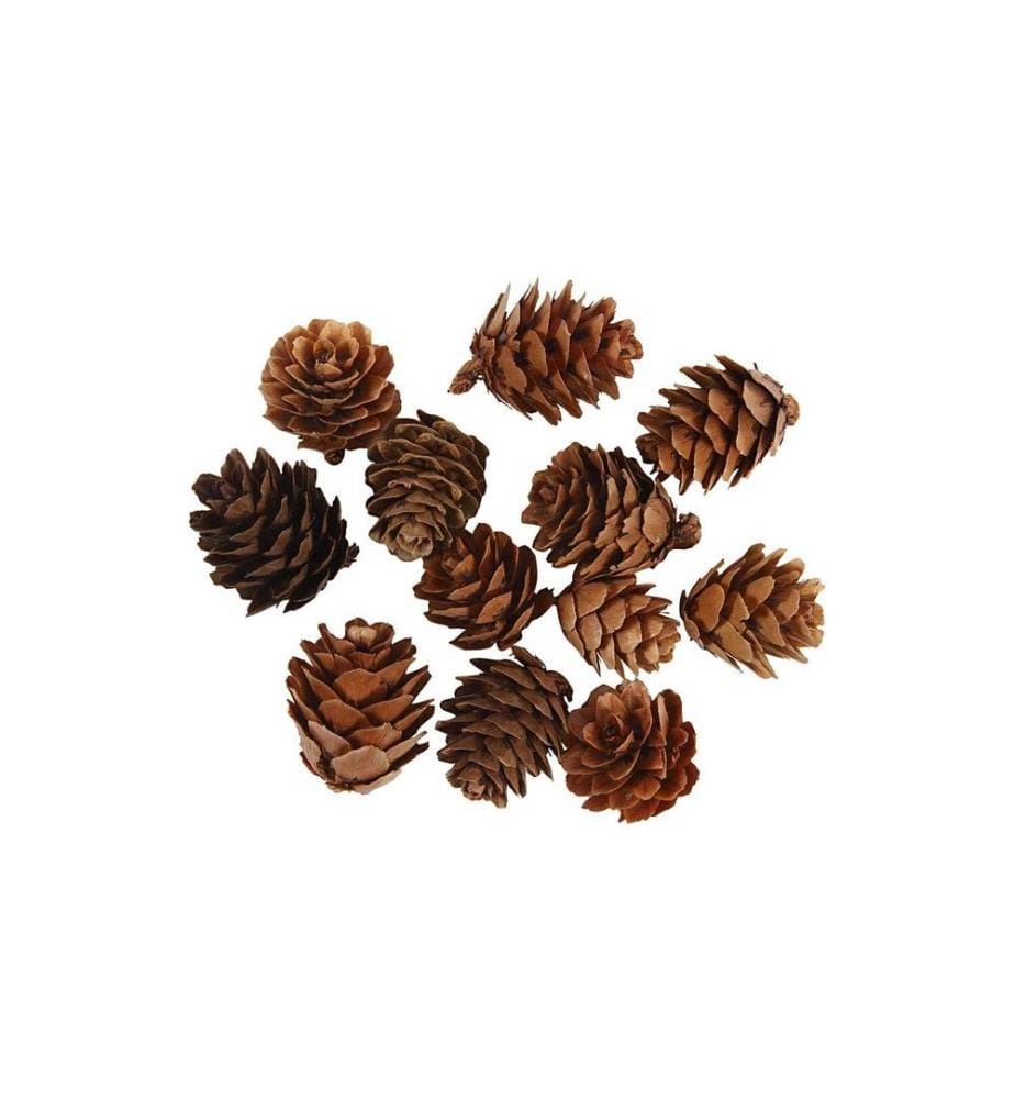 CREATIV COMPANY - Pomme de pin 12 pièces