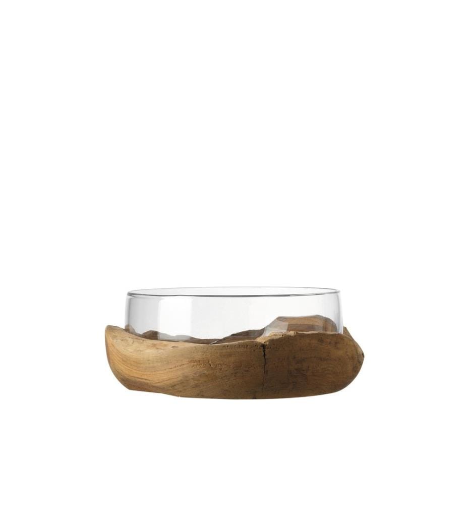 LEONARDO - Coupe Terra 28 cm, 1 Pièce/s, Transparent