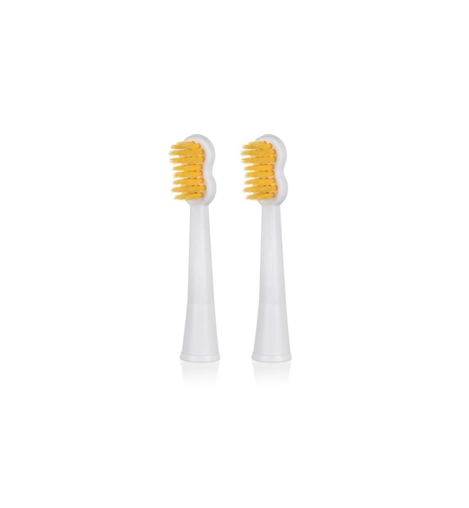 EDEL+WHITE - Tête de brosse à dents Generation 8 WINNER 2 pièces