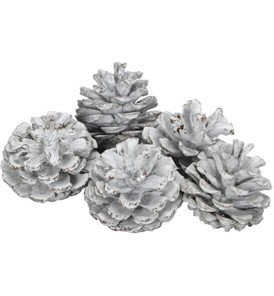 COCON - Décoration à saupoudrer Cônes de pin noir, Blanc, 500g