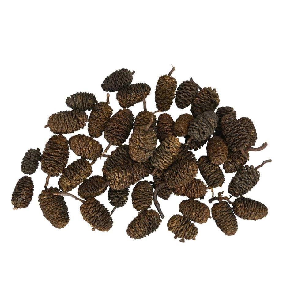 COCON - Décoration à saupoudrer Cônes d'aulne Nature, 150g