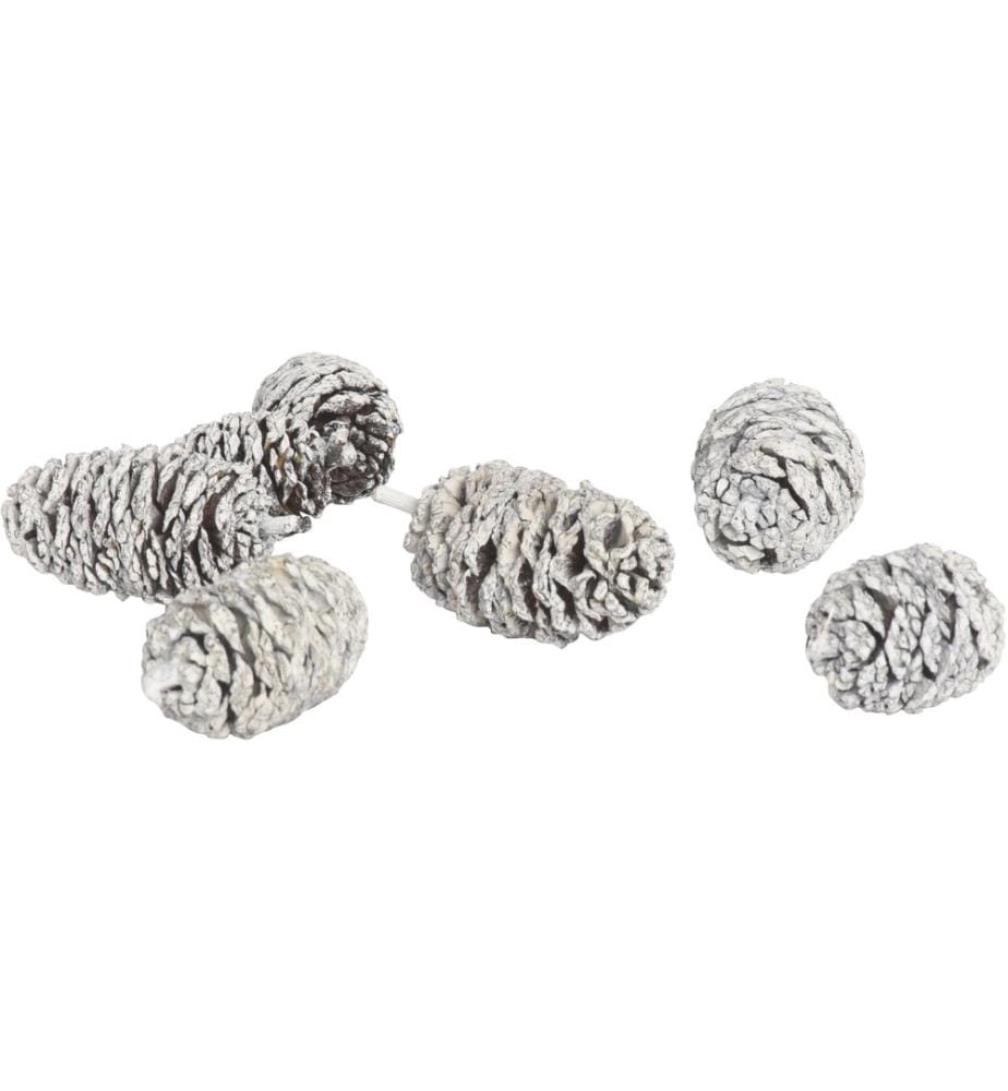 COCON - Décoration de Noël Cônes d'aulne, blanc, 150g