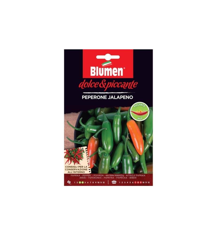 BLUMEN - Semence Paprika Jalapeno