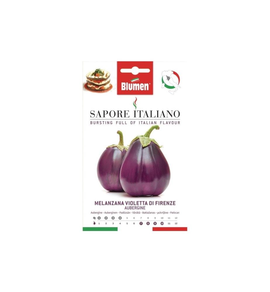BLUMEN - Semence Aubergine Violetta di Firenze
