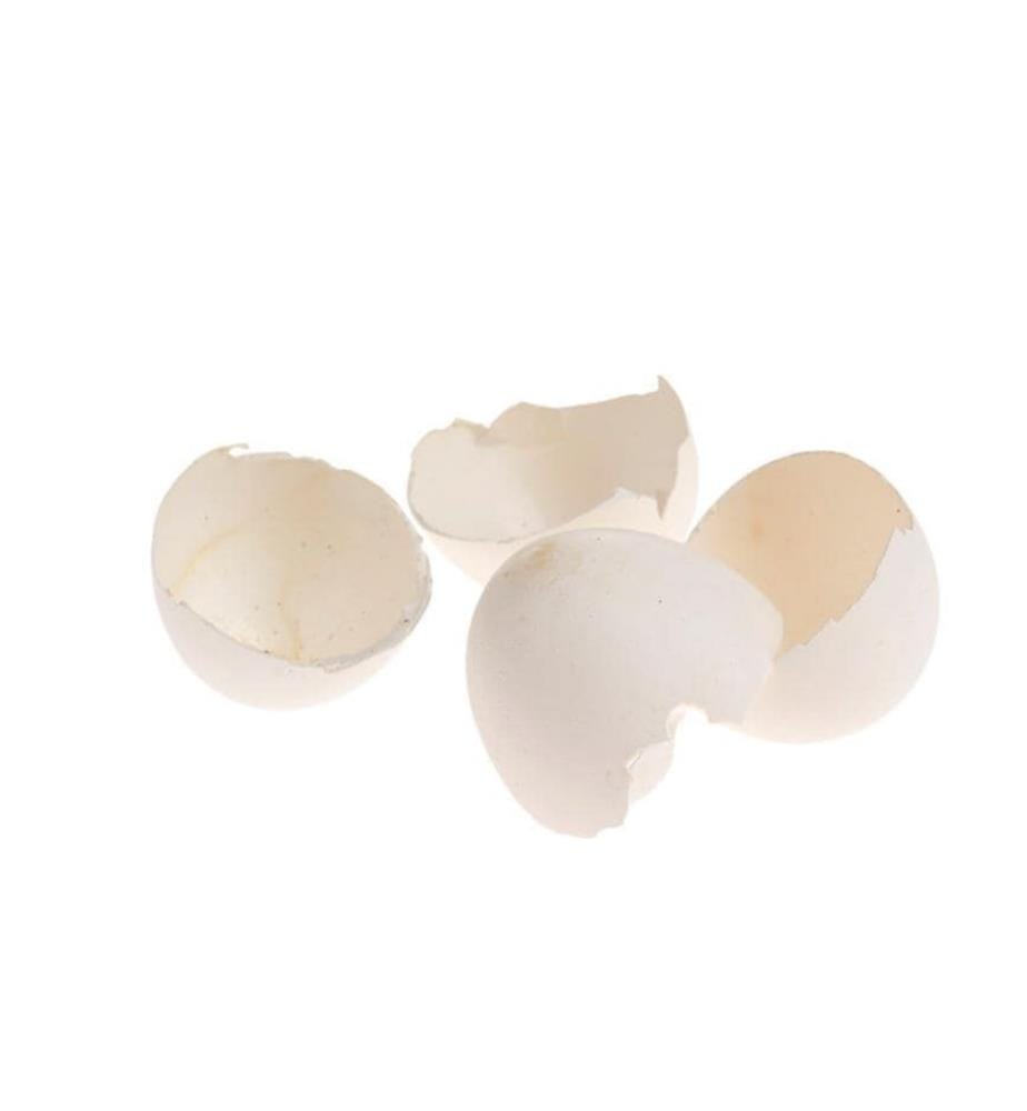 OPIFLOR - Bol à œufs de Pâques 200, blanc naturel