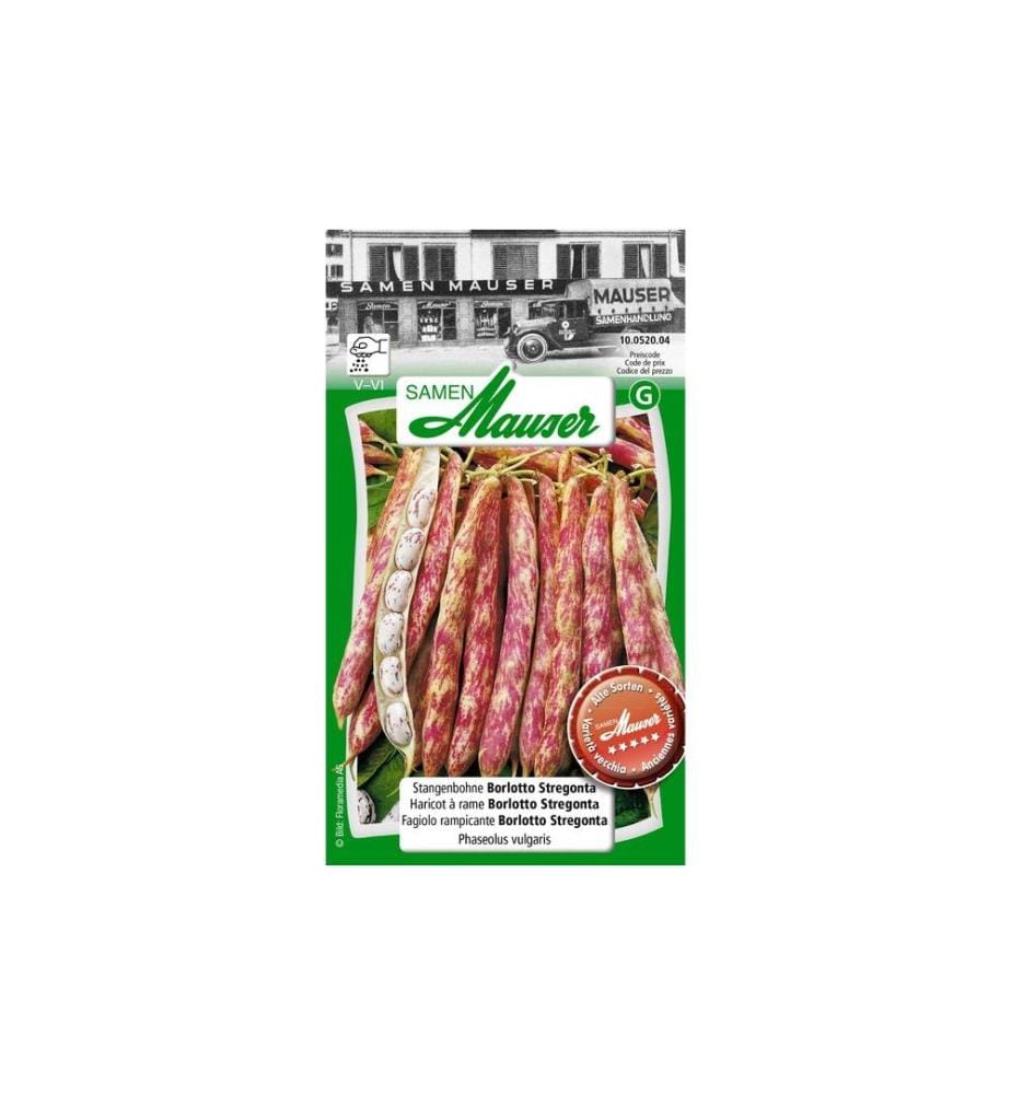 Samen Mauser - Semence Haricot vert ancien Borlotti Stregonta