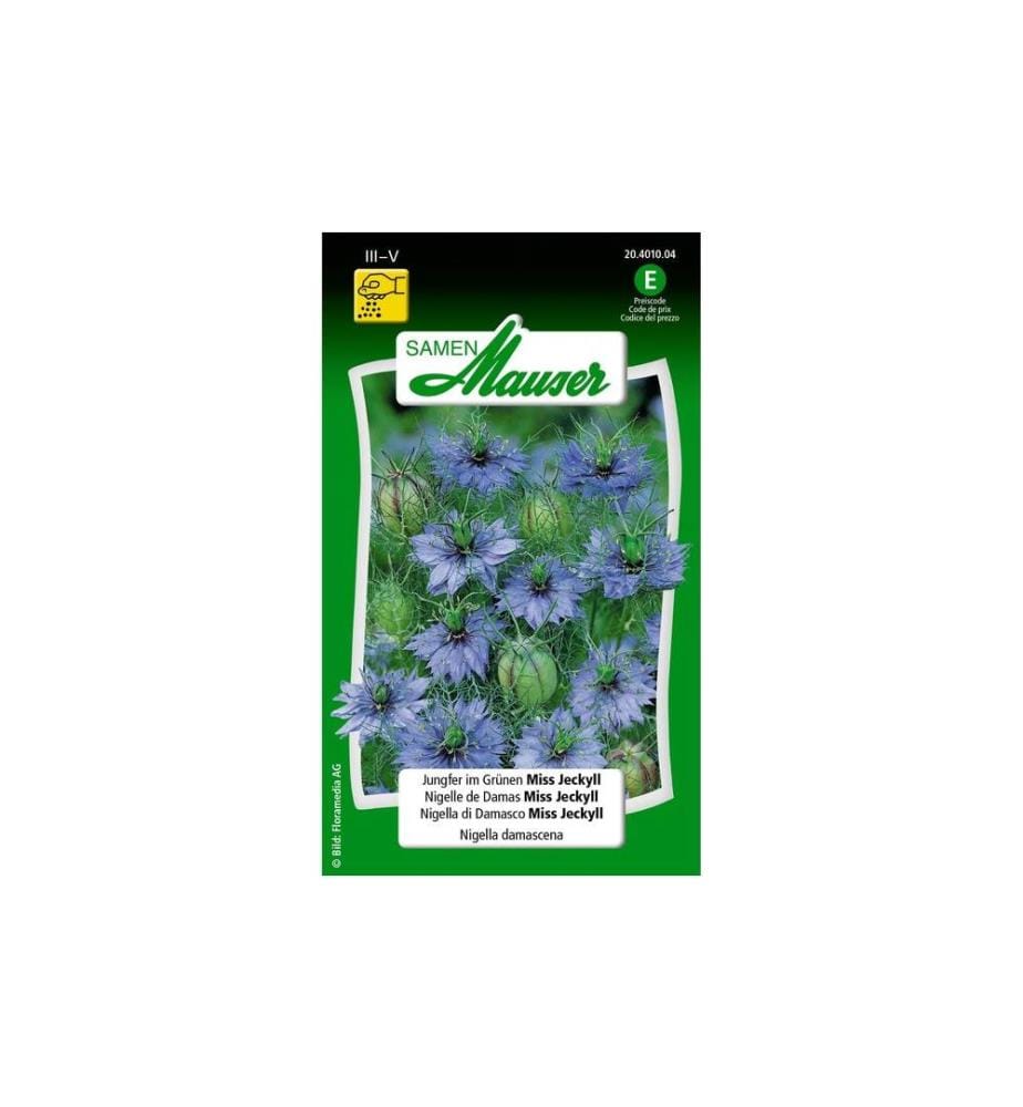 Samen Mauser - Semence Femme de chambre dans le vert Miss Jeckyll
