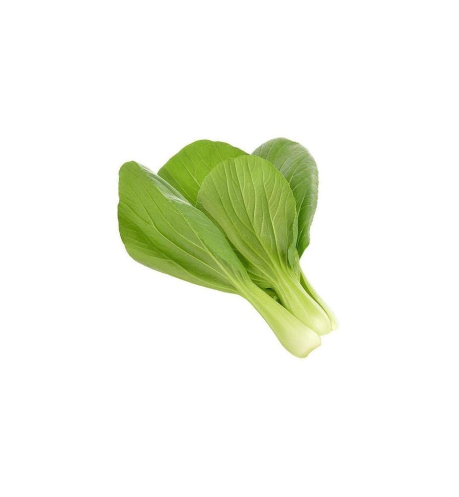 CLICK AND GROW - Semence Pak Choi