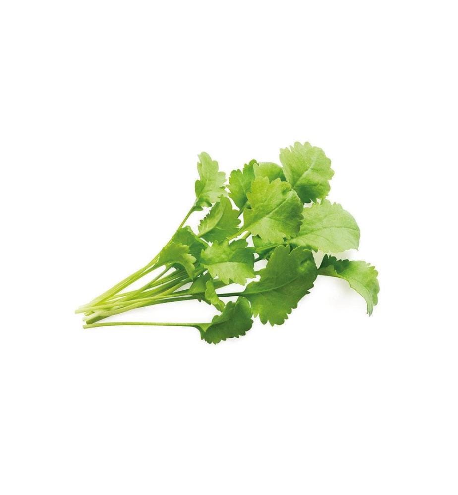 CLICK AND GROW - Semence Recharge Cresson set de 3