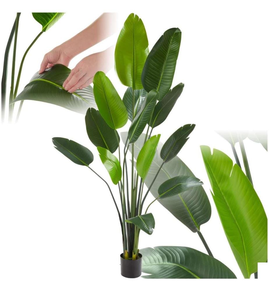 Arbre oiseau du paradis TROPIC - 180 cm