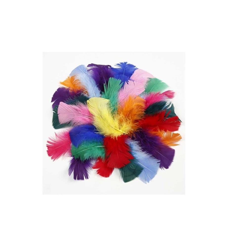 CREATIV COMPANY - Plumes 50 g Multicolore