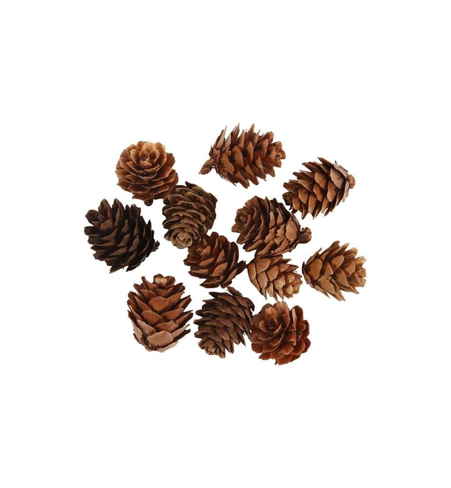 CREATIV COMPANY - Pomme de pin 12 pièces