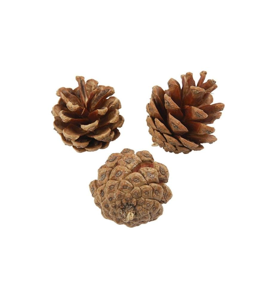 CREATIV COMPANY - Pomme de pin Pomme de pin 40 mm