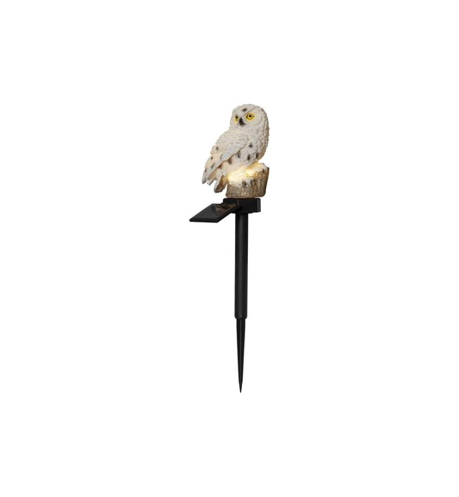 STAR TRADING - Éclairage de jardin Décoration solaire Owl, Beige