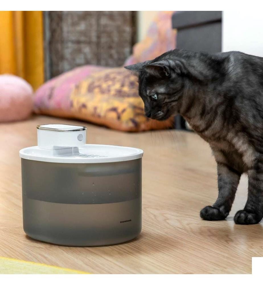 Fontaine pour Chats Rechargeable avec Détecteur Refopet