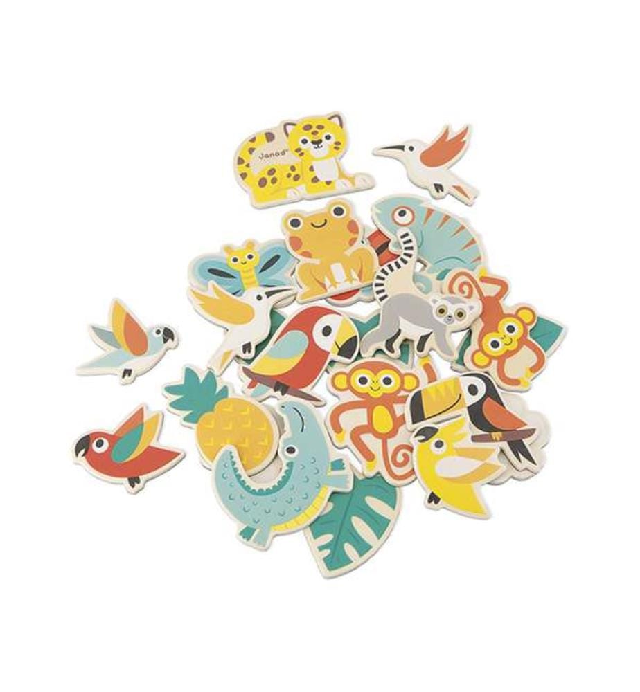 08274 - Tropik Magnets Tropicaux 24Pcs Fsc