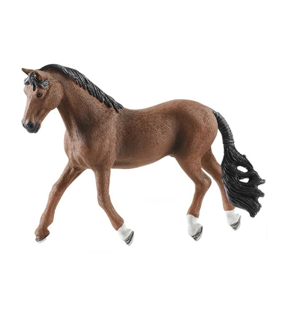 Hongre Trakehner - 13909