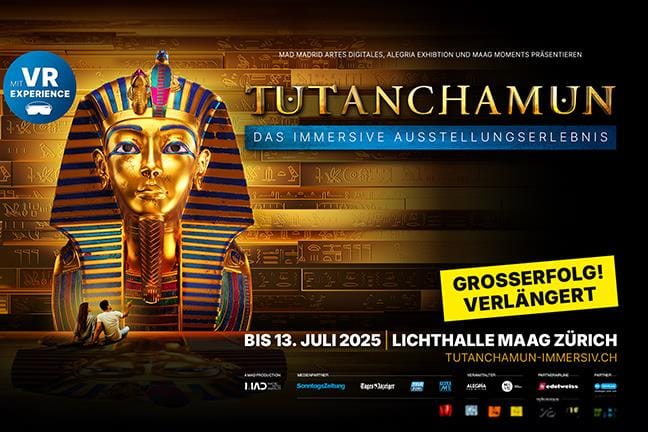 Billet pour Tutanchamun sans expérience VR pour 1 adulte à partir de 16 ans (mercredi-vendredi)