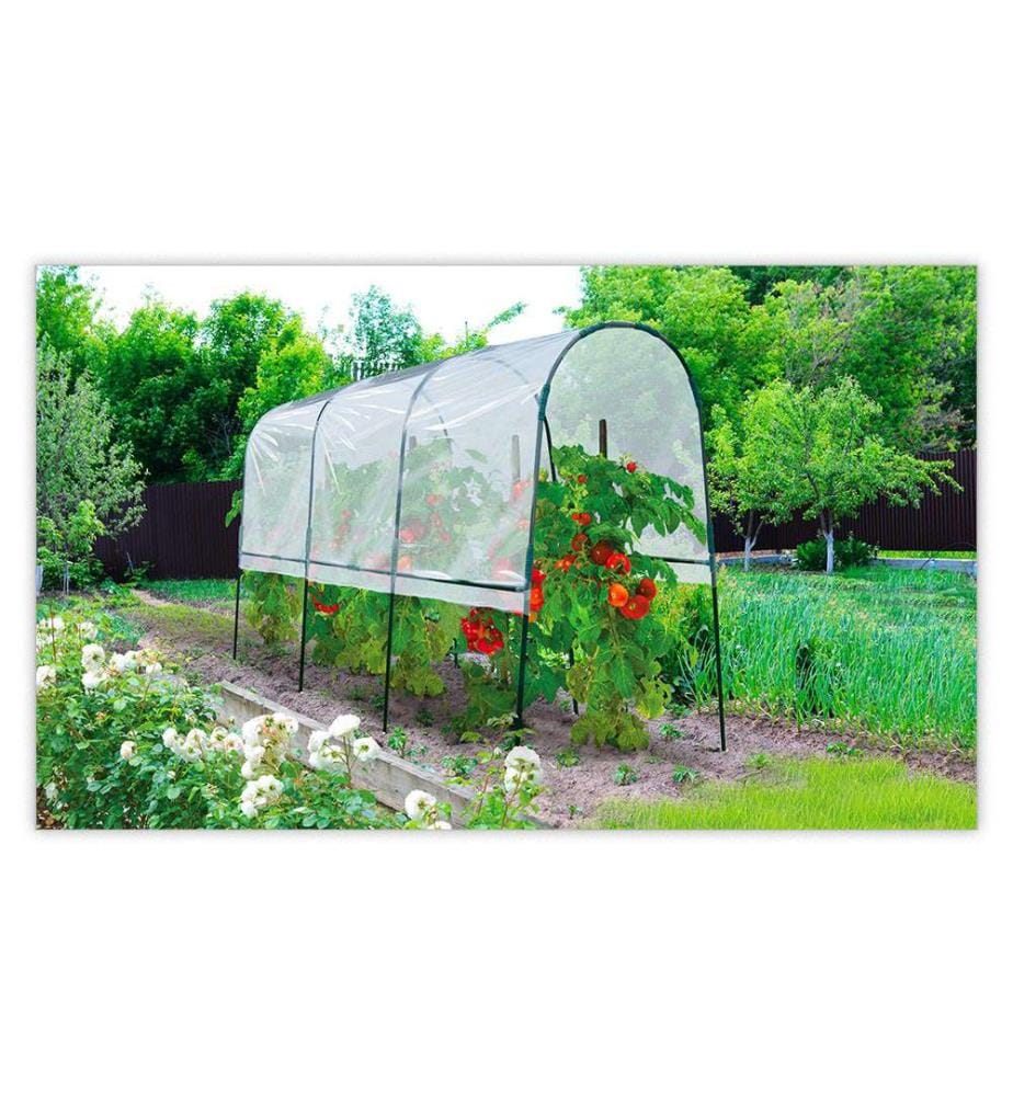 Serre Tunnel Spéciales Tomates 4 m - Transparent