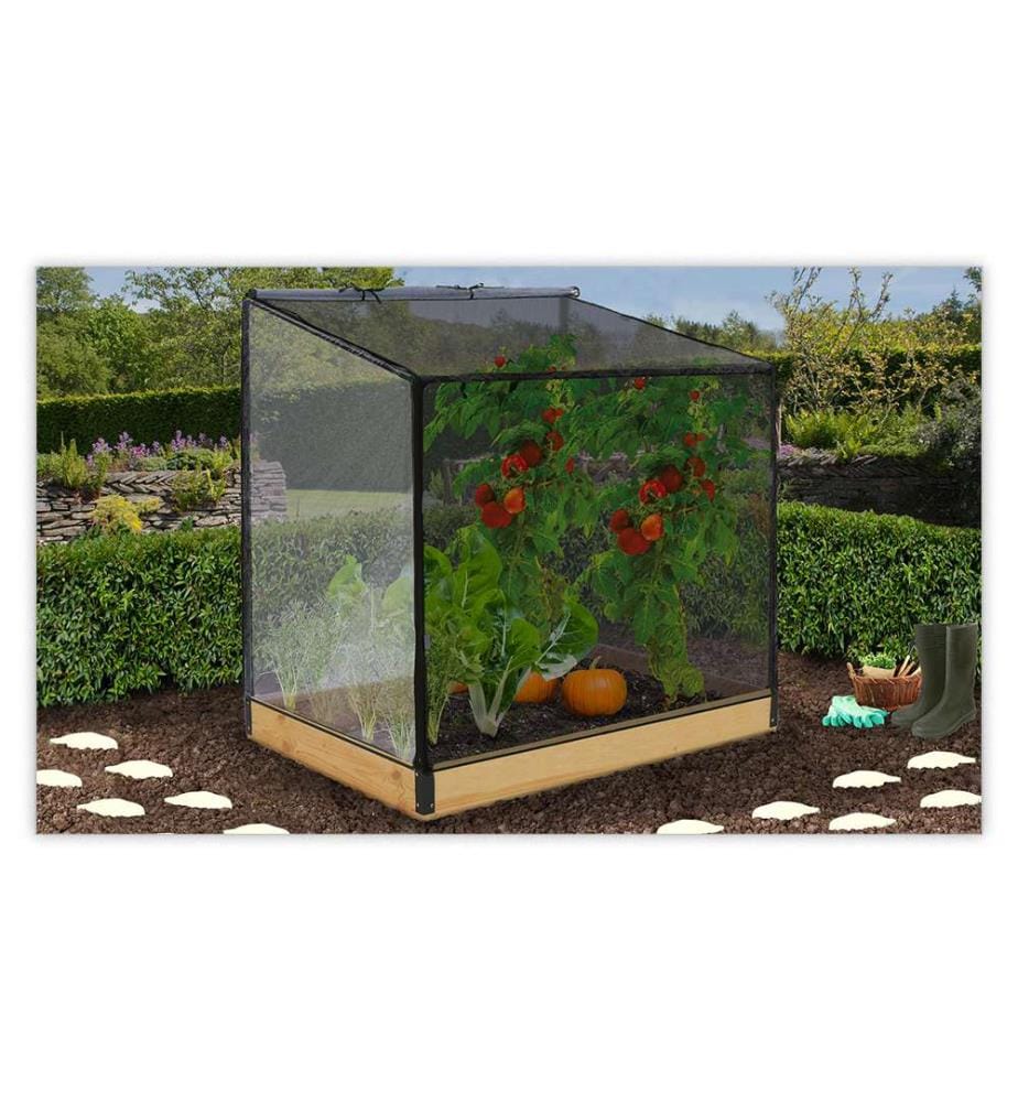 Serre de Potager Aroma en Bois Speciale Plantes Hautes avec Bâche - Transparent