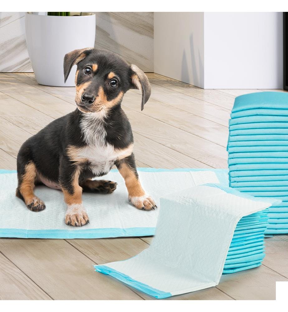 Lot de 100 Tapis Éducateurs pour Chiens - Bleu