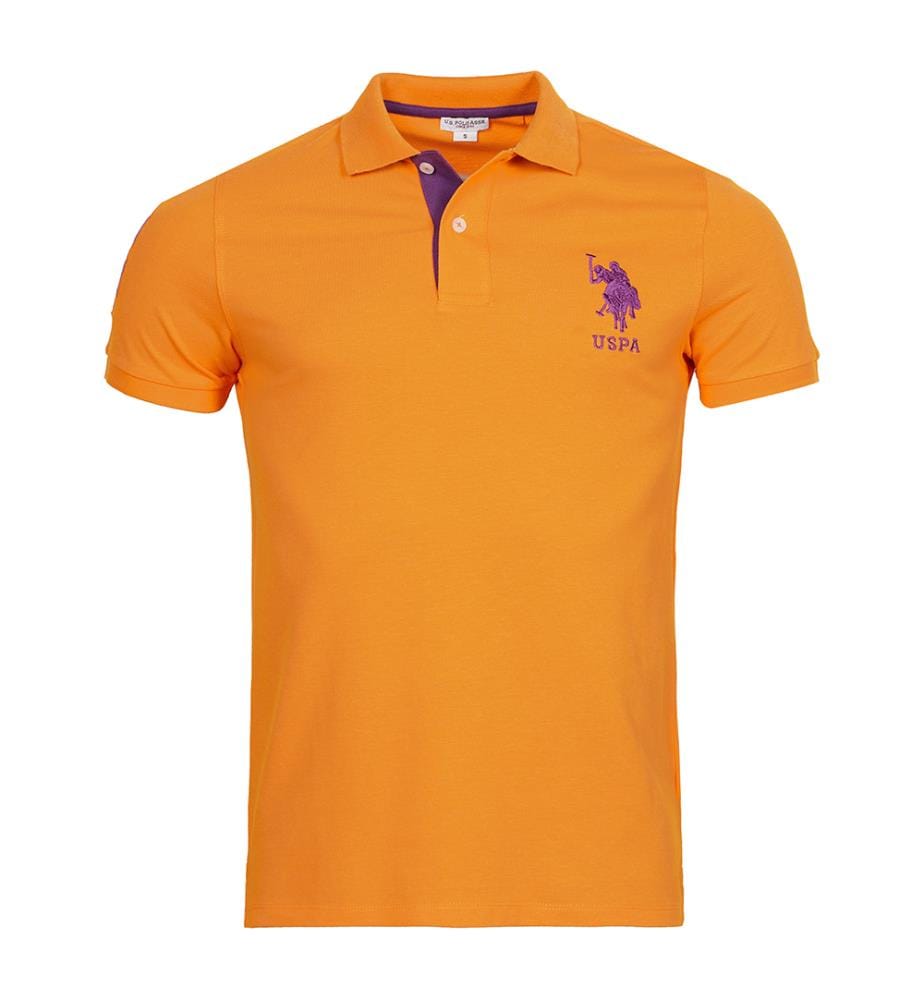 Polo Big Logo