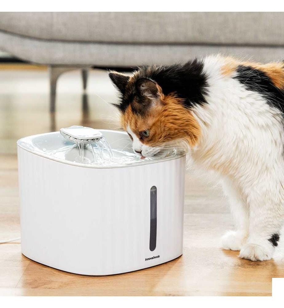 Fontaine pour Animaux de Compagnie Drinkatt