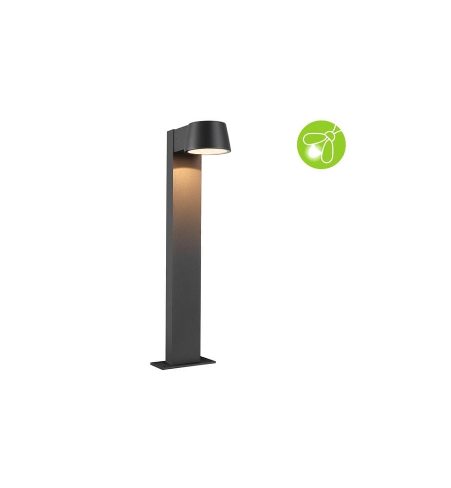 PAULMANN - Borne d'éclairage LED Capea 230 V Anthracite