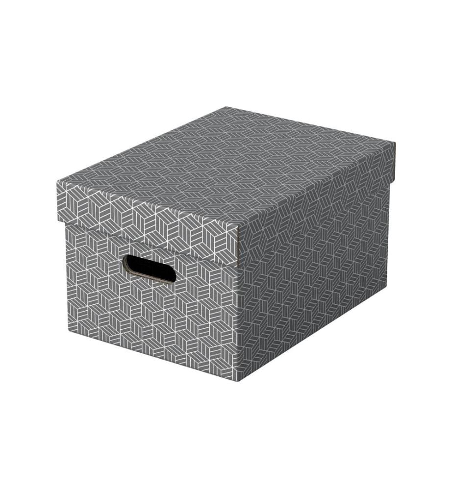 LEITZ - Boîte de rangement Esselte Home M Moyen, 3 pièces, Gris