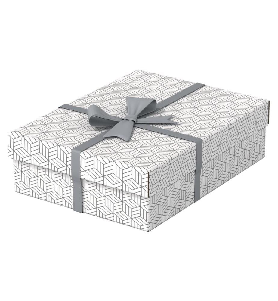 LEITZ - Boîte de rangement Esselte Home M flat Moyen, 3 pièces, Blanc