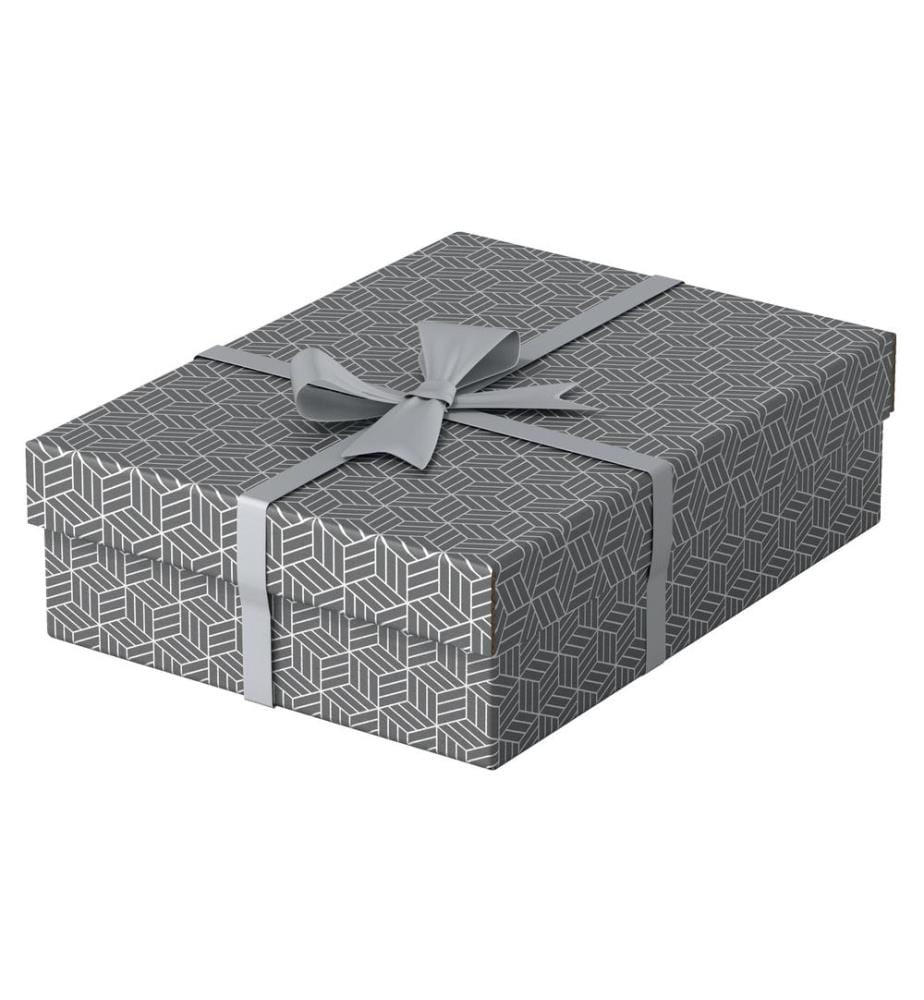 LEITZ - Boîte de rangement Esselte Home M flat Moyen, 3 pièces, Gris