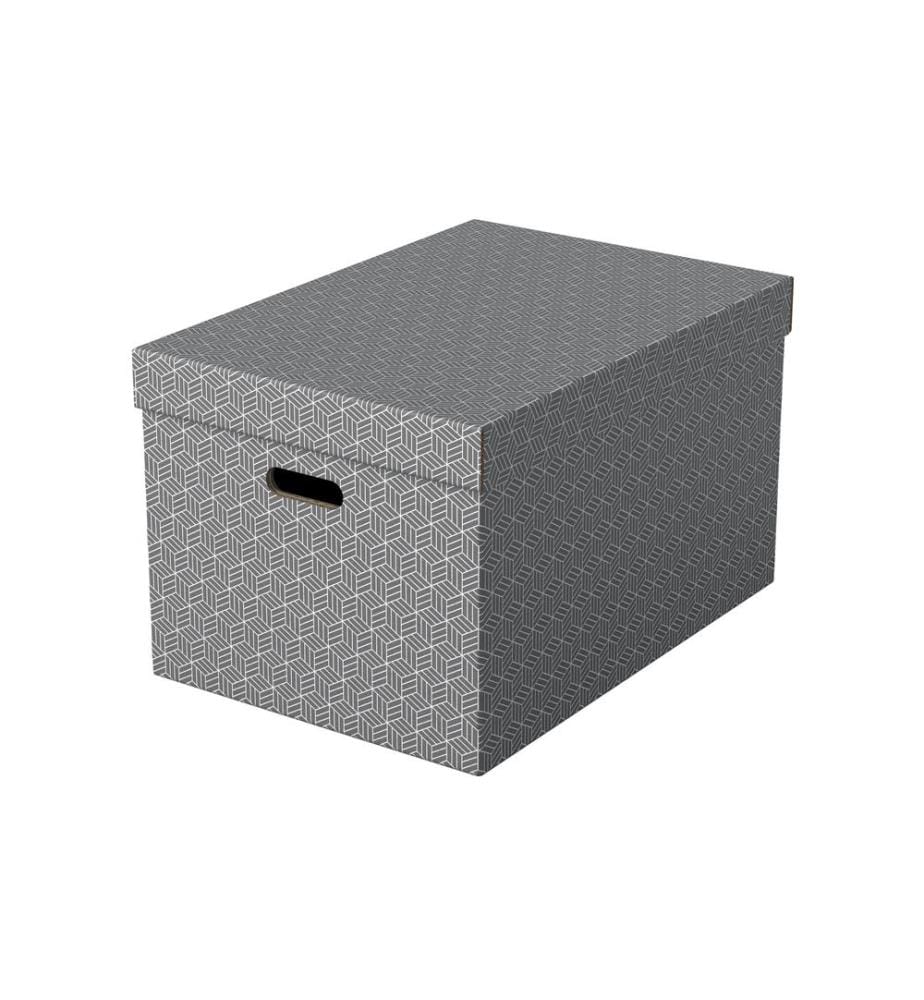 LEITZ - Boîte de rangement Esselte Home L Grand, 3 pièces, Gris