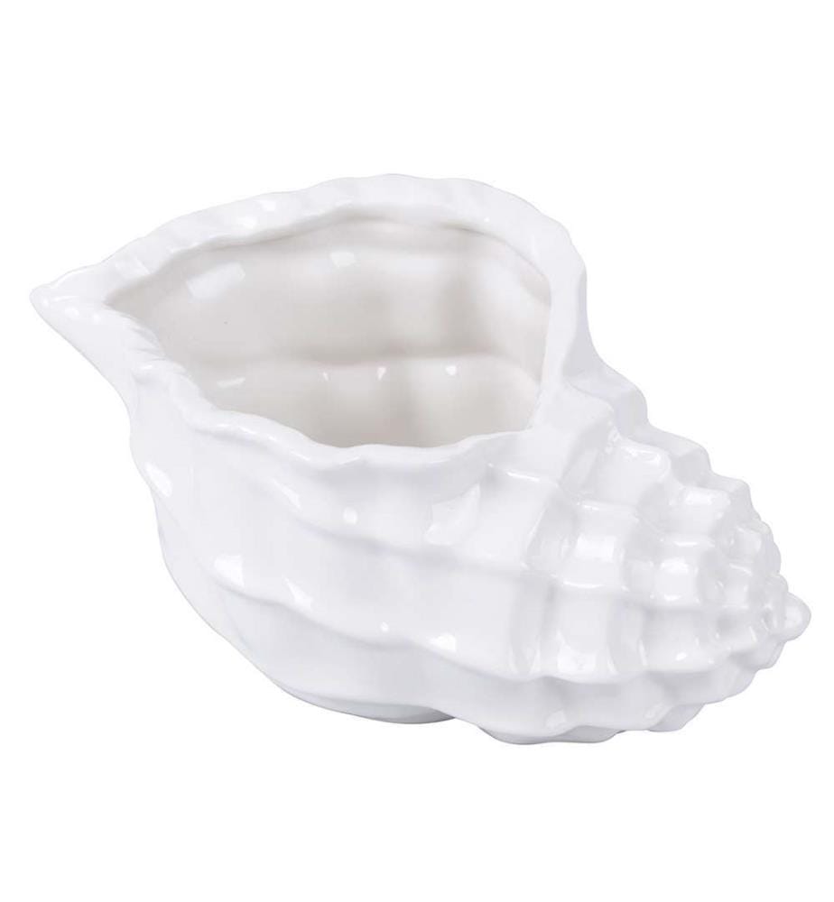 Coquille de pot blanc brillant - Blanc