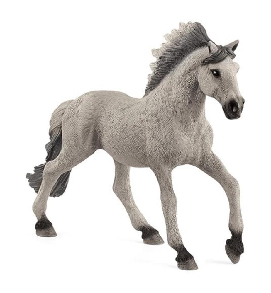 Étalon Mustang Sorraia - 13915