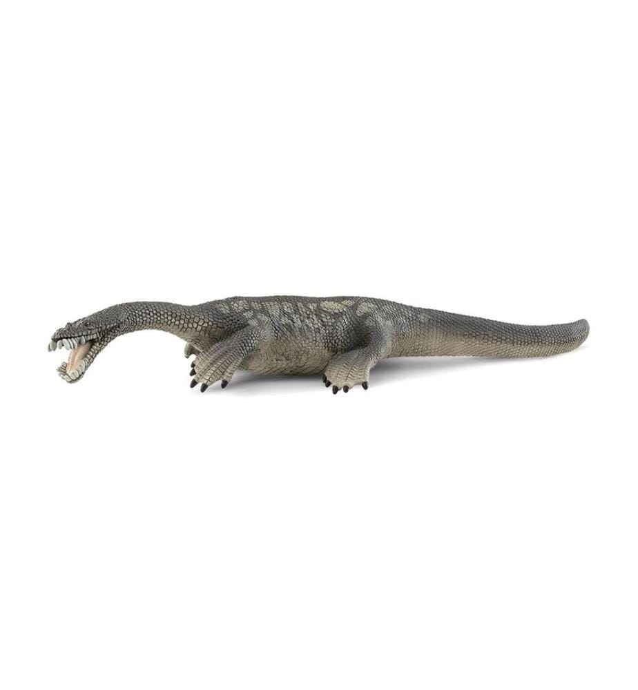 Nothosaurus - 15031