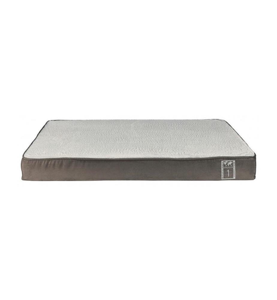 Coussin Vital Best of all Breeds 60 x 40 cm - Gris