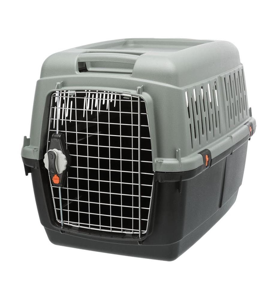 Boîte de transport Be Eco Giona 4, Taille S-M - Gris