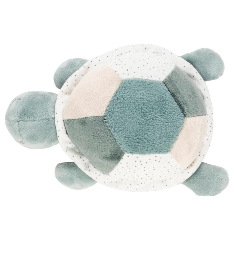 Lapidou Tortue avec activités vert
