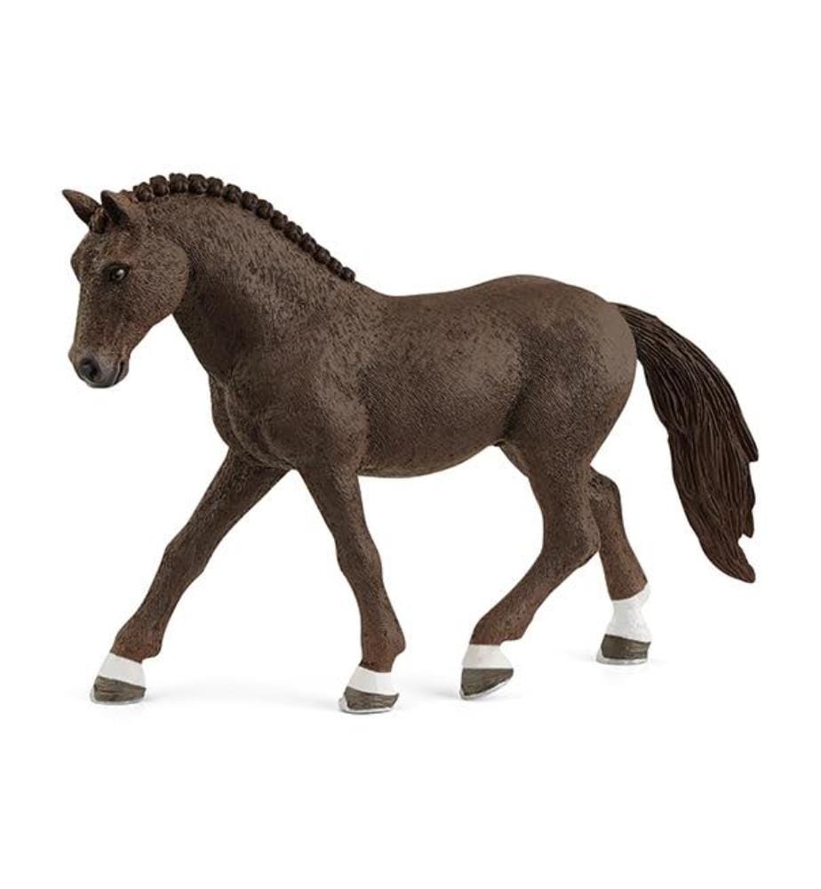 Poney Selle Hongre Allemand - 13926