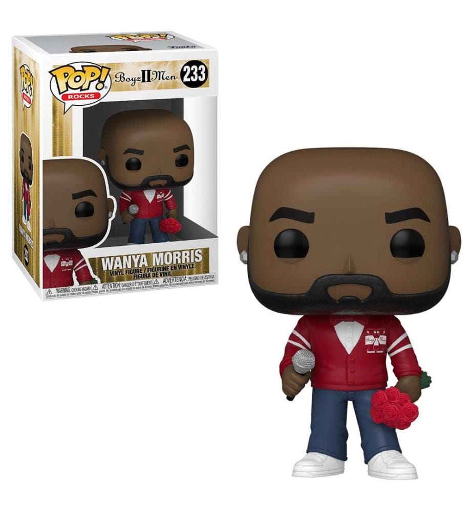 Figurine Wanya Morris - Pop Boyz II Men - Multicolore