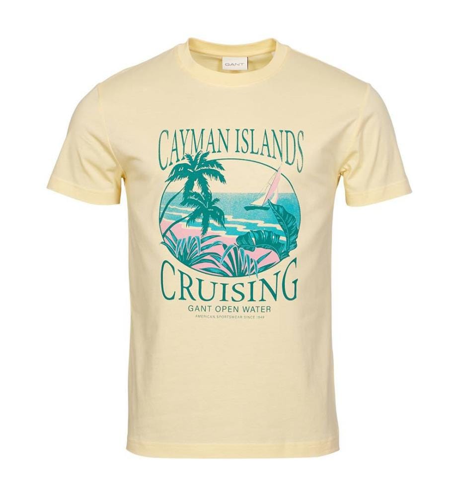 Placed Graphic T-Shirt - Jaune clair poussiéreux