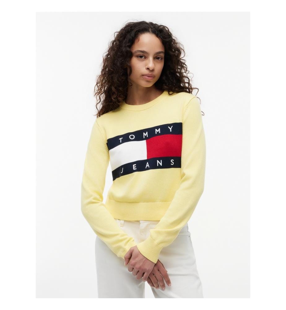 Pull Tommy Flag col rond
