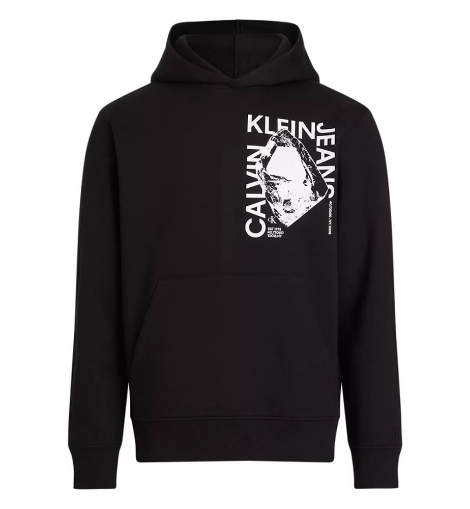 Hoodie Regular Fit