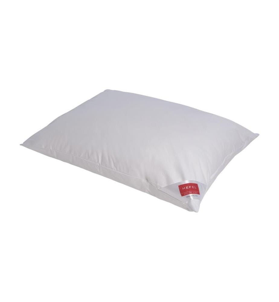 Oreiller en Plumes et Duvet Yverdon - 50 x 70 cm