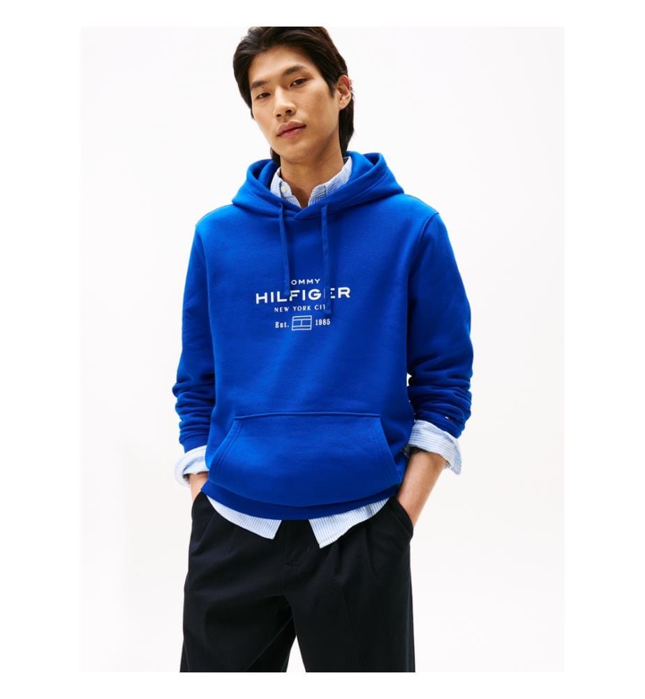 Hoodie Oval Graphic - Bleu