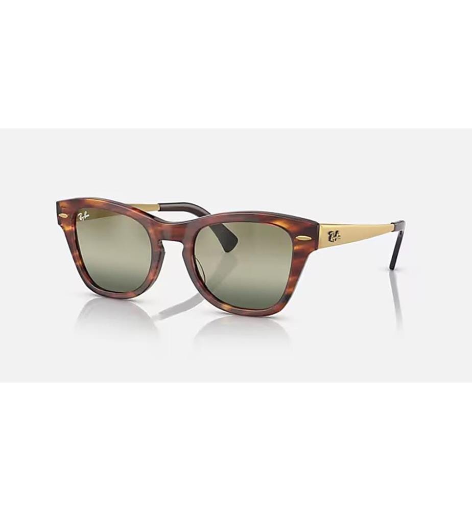 Lunettes de soleil - Polished Striped Havana