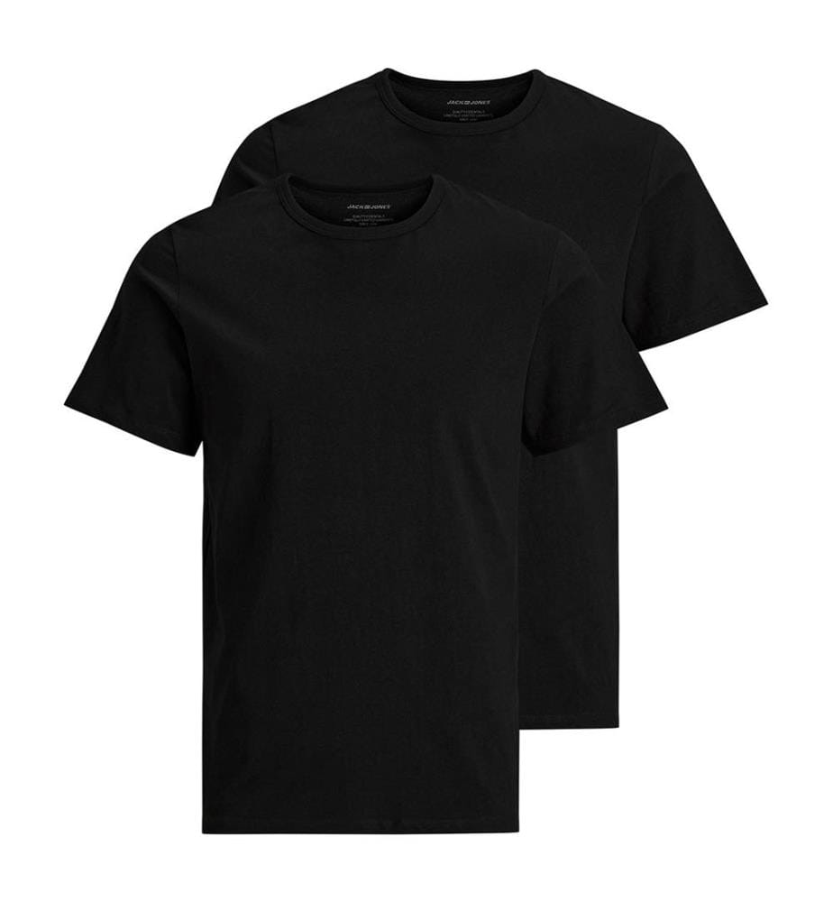 Lot de 2 T-Shirts Basic
