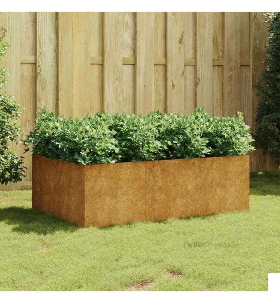 Lit surélevé de jardin 120x80x40 cm acier corten